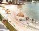 tampa bay marathon swim finishing point